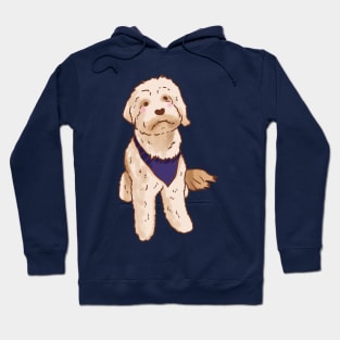 Cute Golden Doodle Hoodie